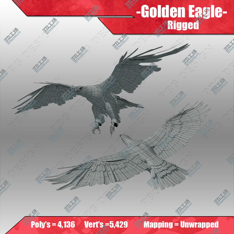 images/goods_img/202105073/Golden Eagle/5.jpg